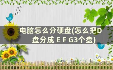 电脑怎么分硬盘(怎么把D盘分成 E F G3个盘)